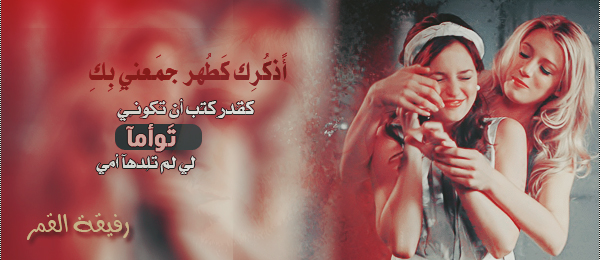   bntpal.com_146444444