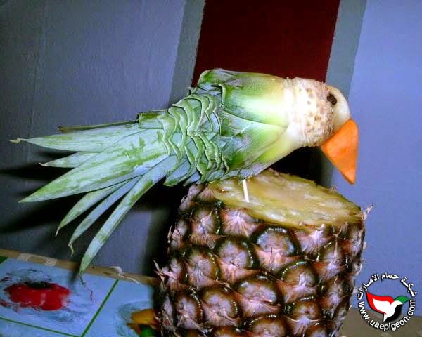 bntpal.com_146463144