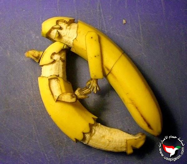 bntpal.com_146463144