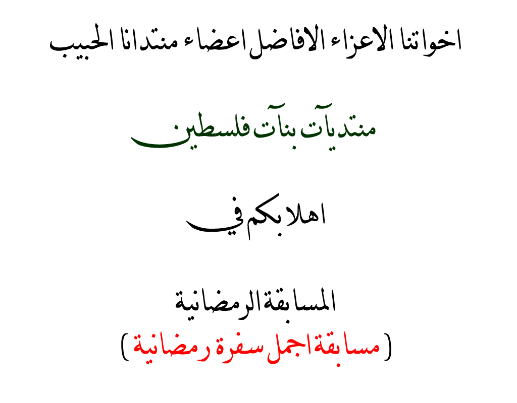  bntpal.com_146477150