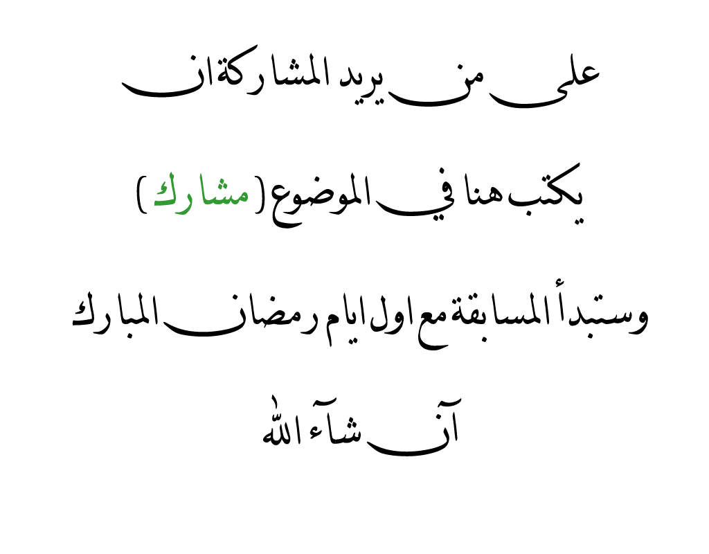  bntpal.com_146477157