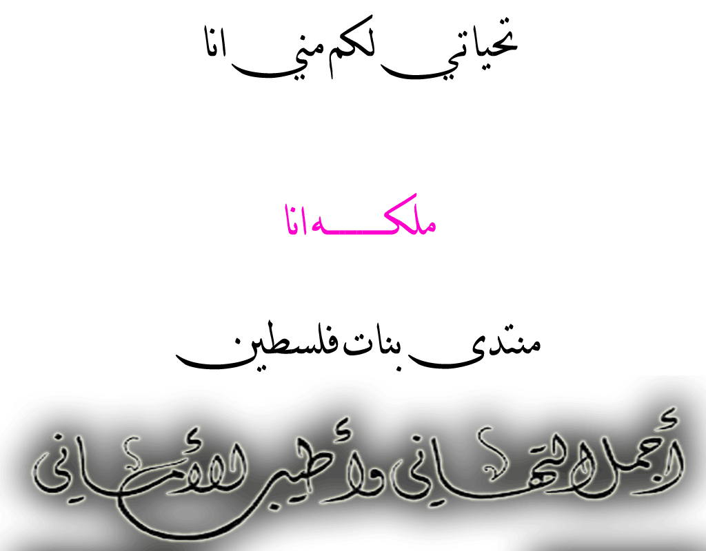  bntpal.com_146477165
