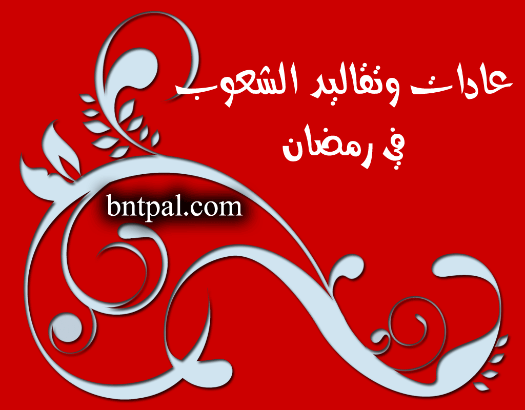 bntpal.com_146519733
