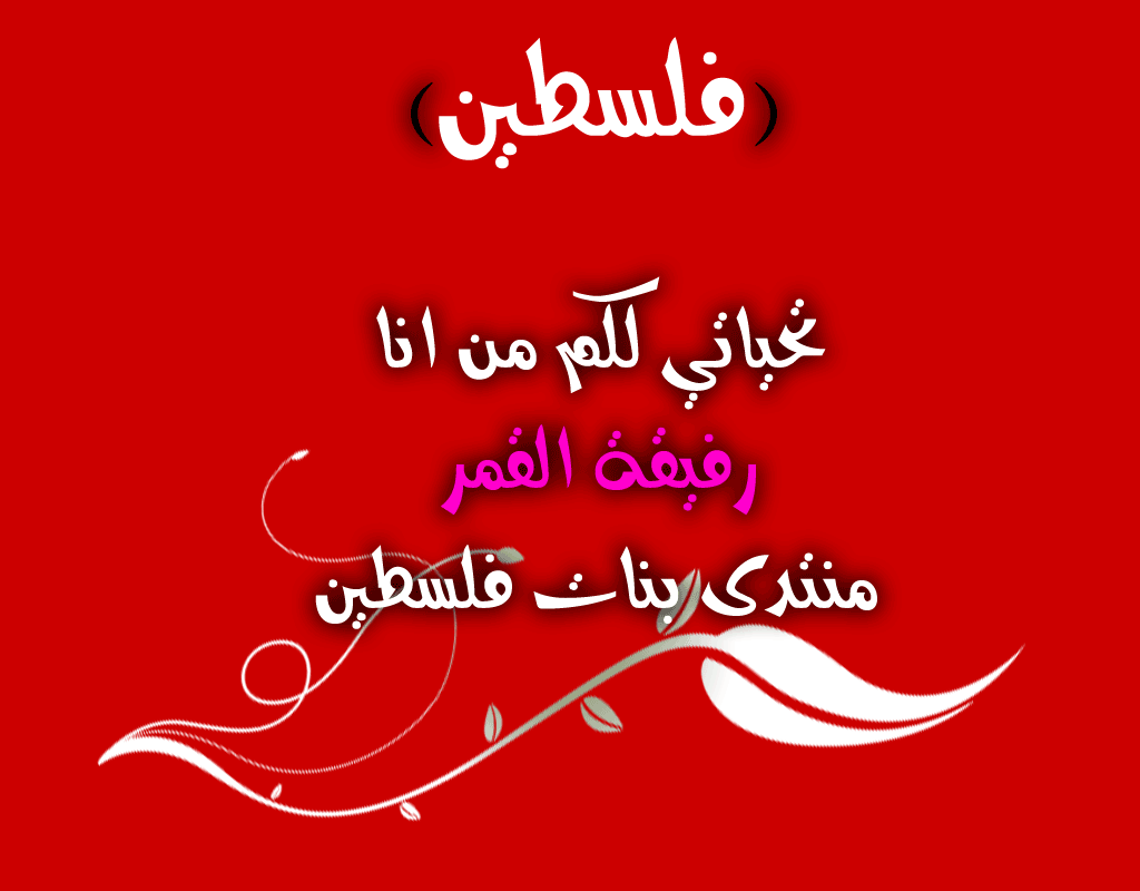 bntpal.com_146519733