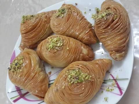 bntpal.com_146526356