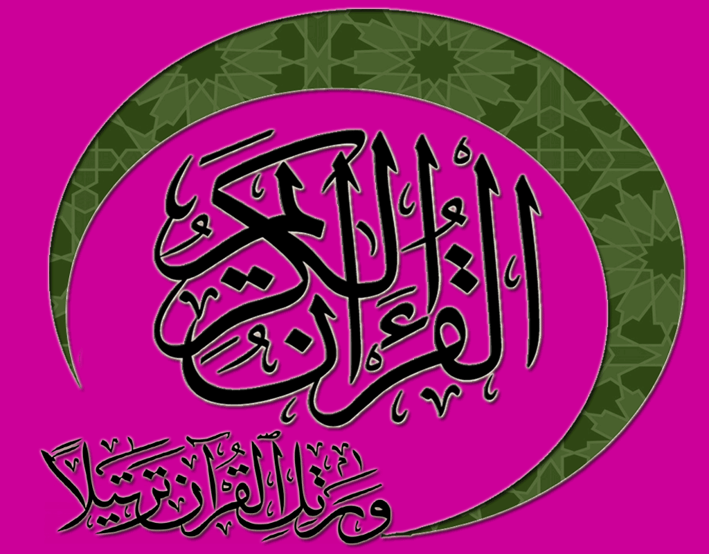  bntpal.com_146532144