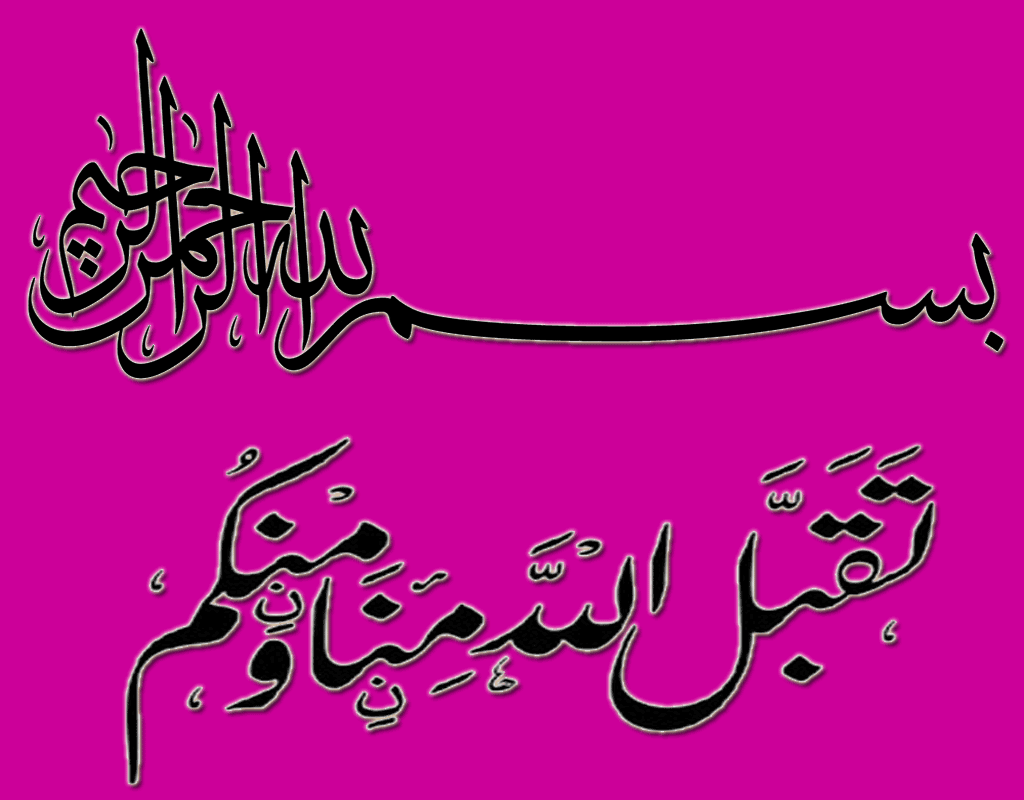  bntpal.com_146532144