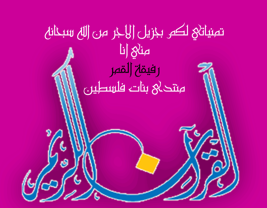  bntpal.com_146532144