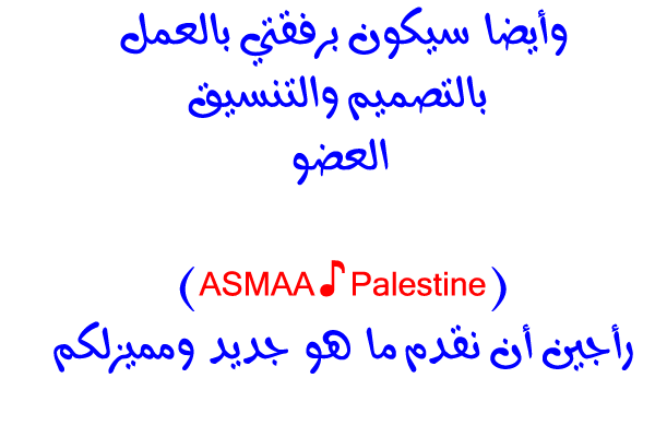 bntpal.com_146588897