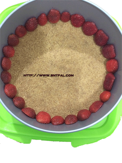bntpal.com_146740895
