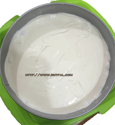 bntpal.com_146740949