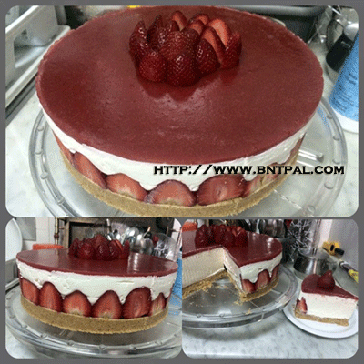 bntpal.com_146740973