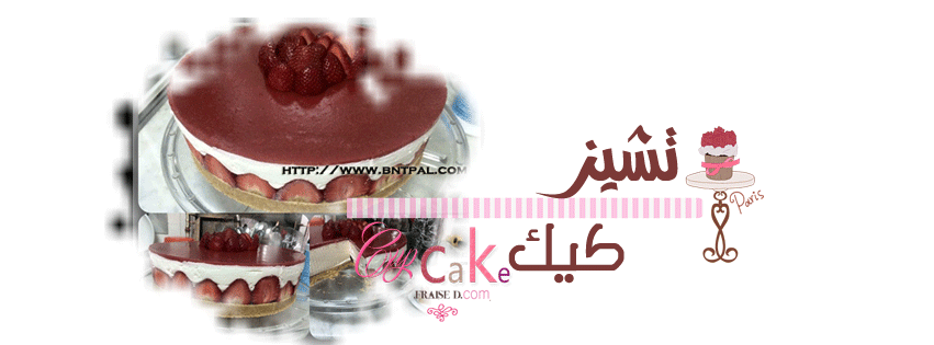 bntpal.com_146740979