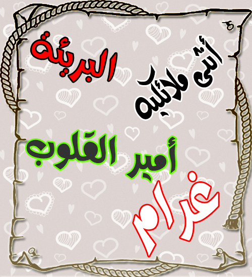 bntpal.com_146771094