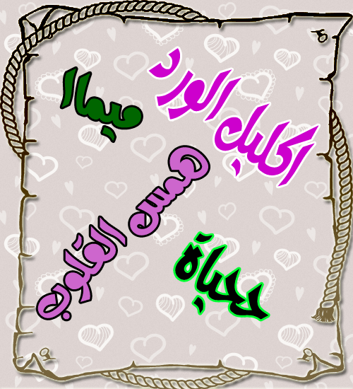 bntpal.com_146771137