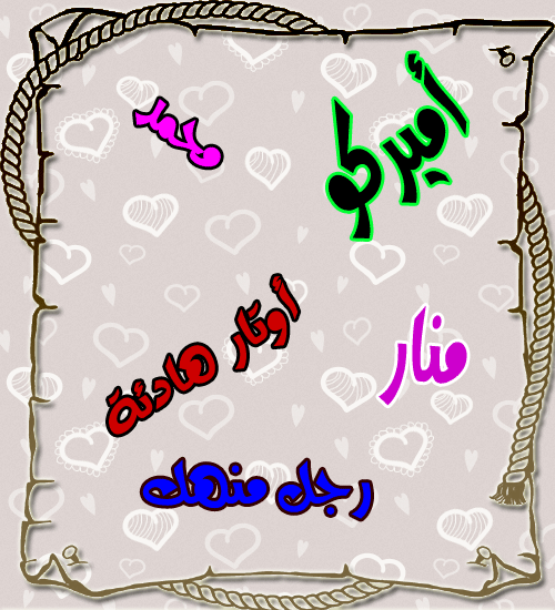 bntpal.com_146771231