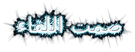 bntpal.com_146772940