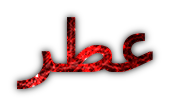 bntpal.com_146773049