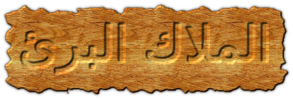 bntpal.com_146773049