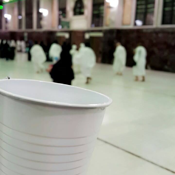 bntpal.com_146831135