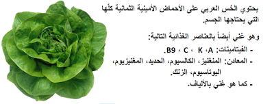 ���� ���� ������ �� ���� ������