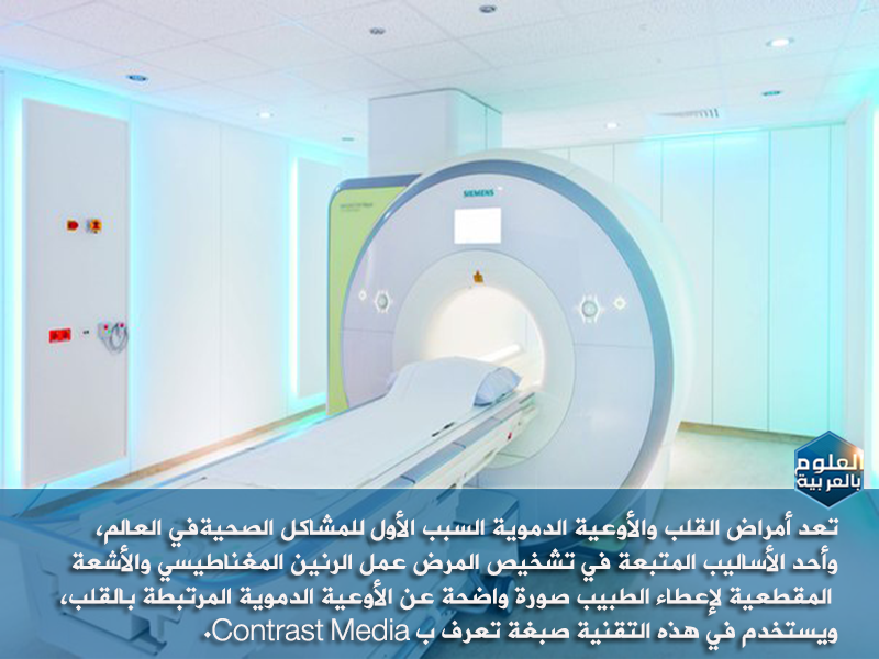    bntpal.com_146981008