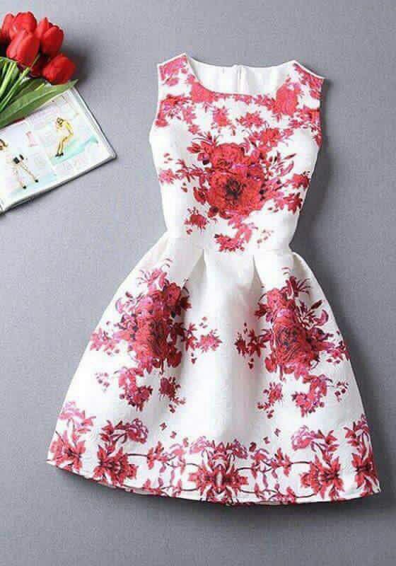 ..   bntpal.com_147002489