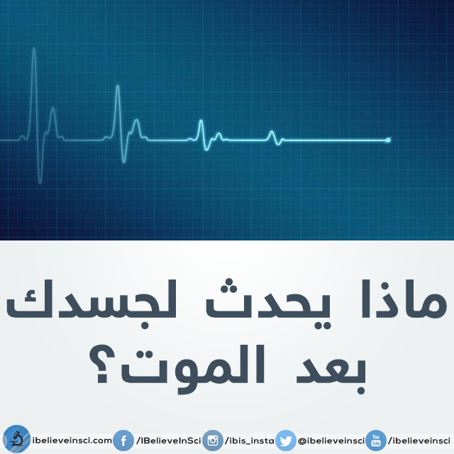 bntpal.com_147012369