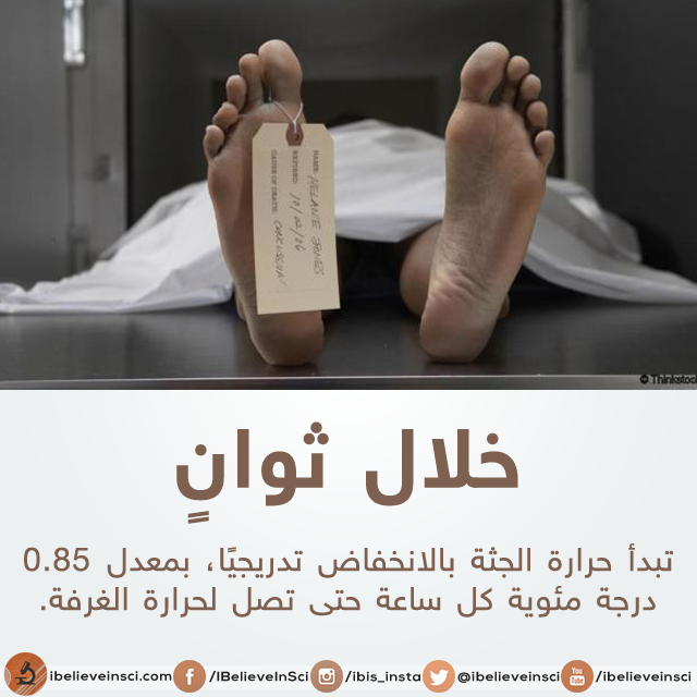 bntpal.com_147012369