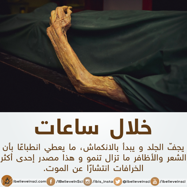 bntpal.com_147012369