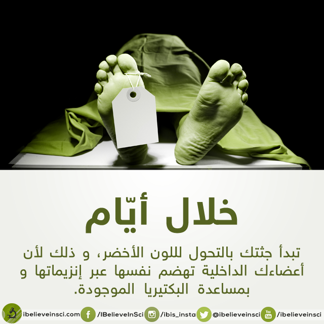 bntpal.com_147012369