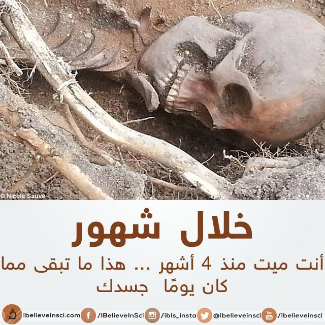 bntpal.com_147012369