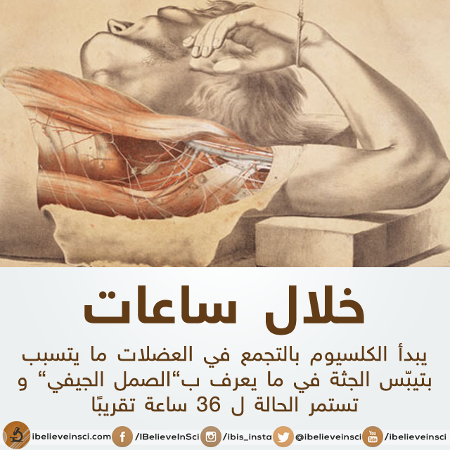 bntpal.com_147012369