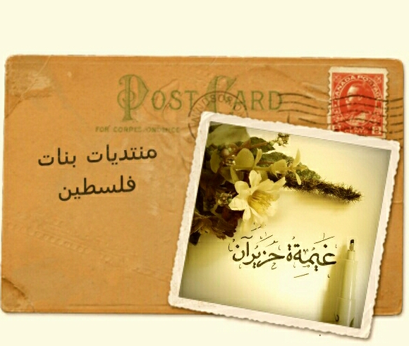 ",, ♥ bntpal.com_147047407