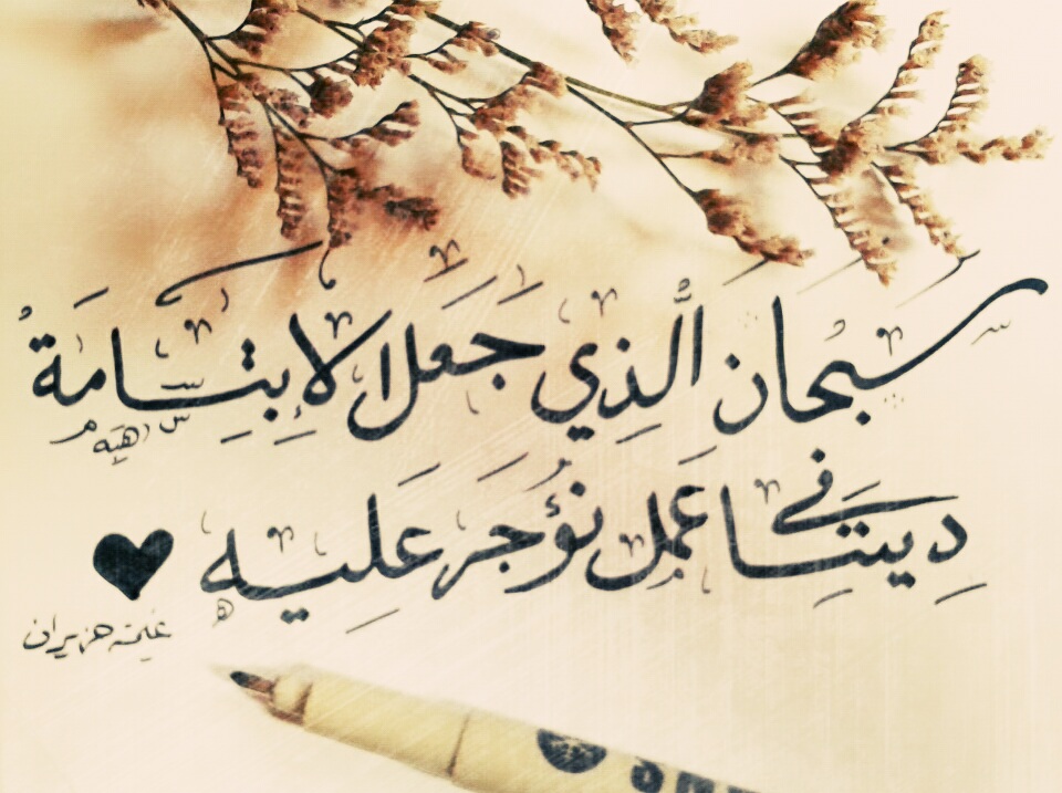 ",, ♥ bntpal.com_147047407
