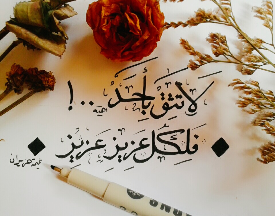 ",, ♥ bntpal.com_147047407