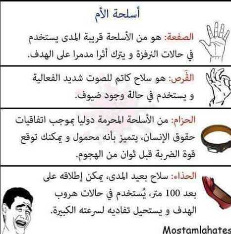 ���� ���� ������ �� ���� ������