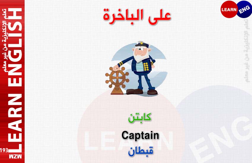  bntpal.com_147124217