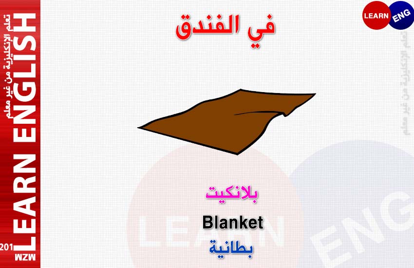  bntpal.com_147133879