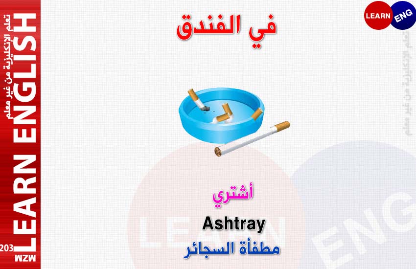  bntpal.com_147133879
