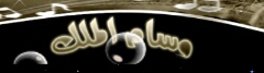 bntpal.com_147161576