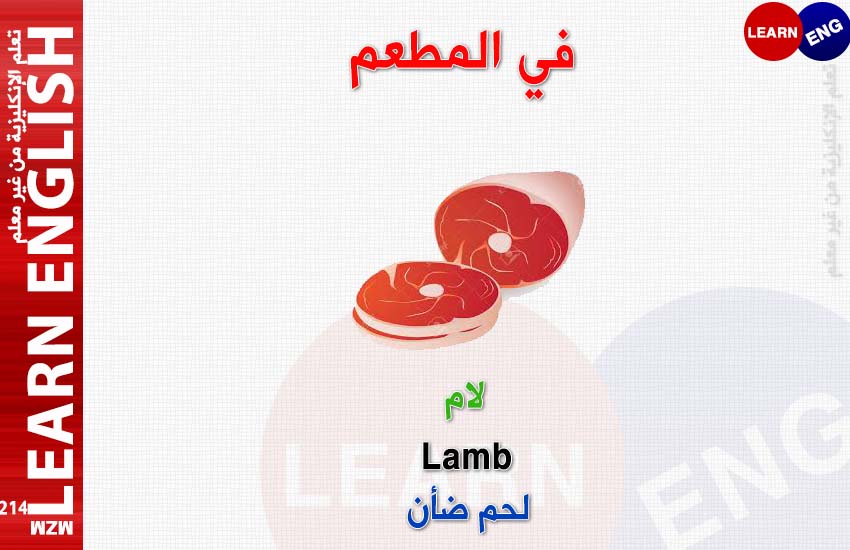  bntpal.com_147168440