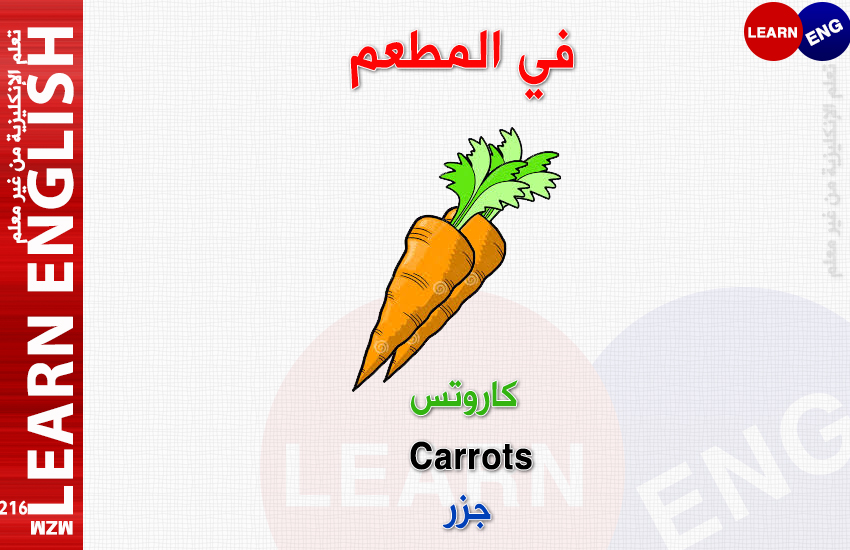  bntpal.com_147168440