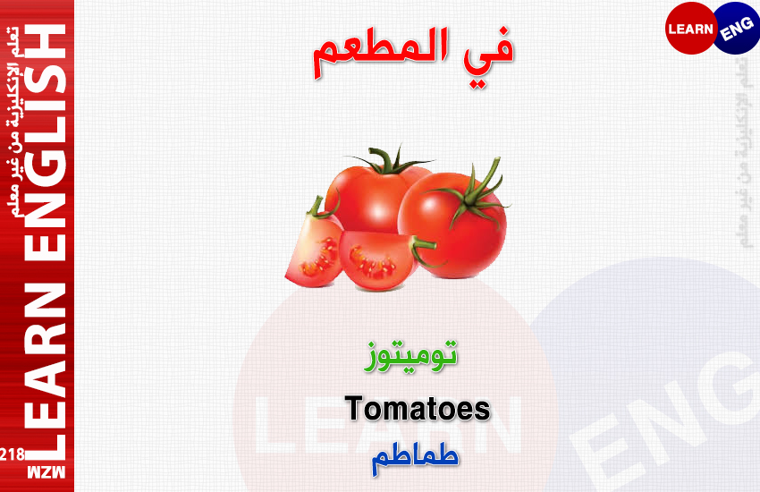  bntpal.com_147168440