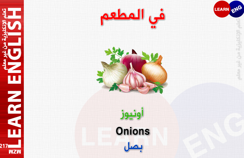  bntpal.com_147168440