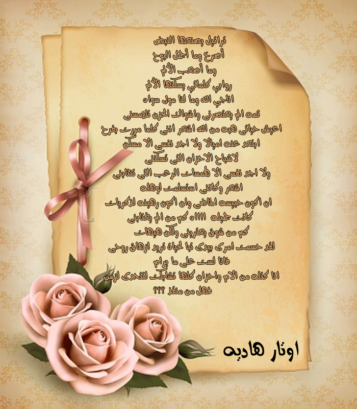 bntpal.com_147169221