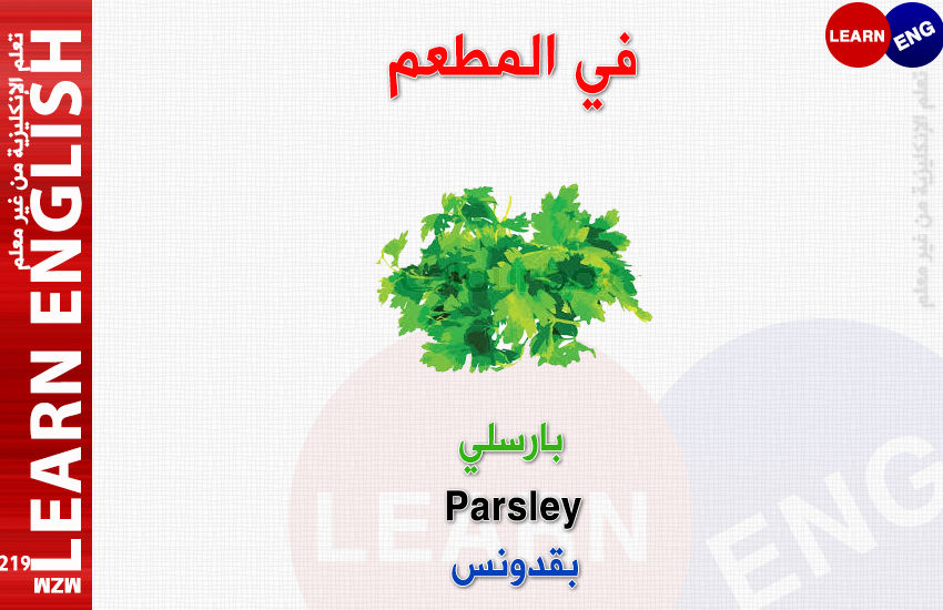  bntpal.com_147176198