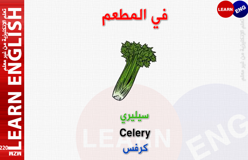  bntpal.com_147176198