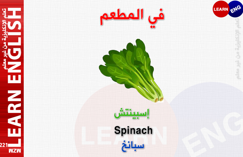  bntpal.com_147176198