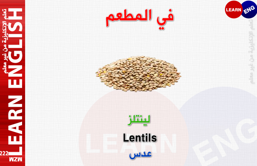  bntpal.com_147176198